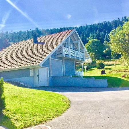 Chalet Le Flocon Bleu - Mauselaine Avec Vue Sur Le Lac De Gerardmer Exterior photo