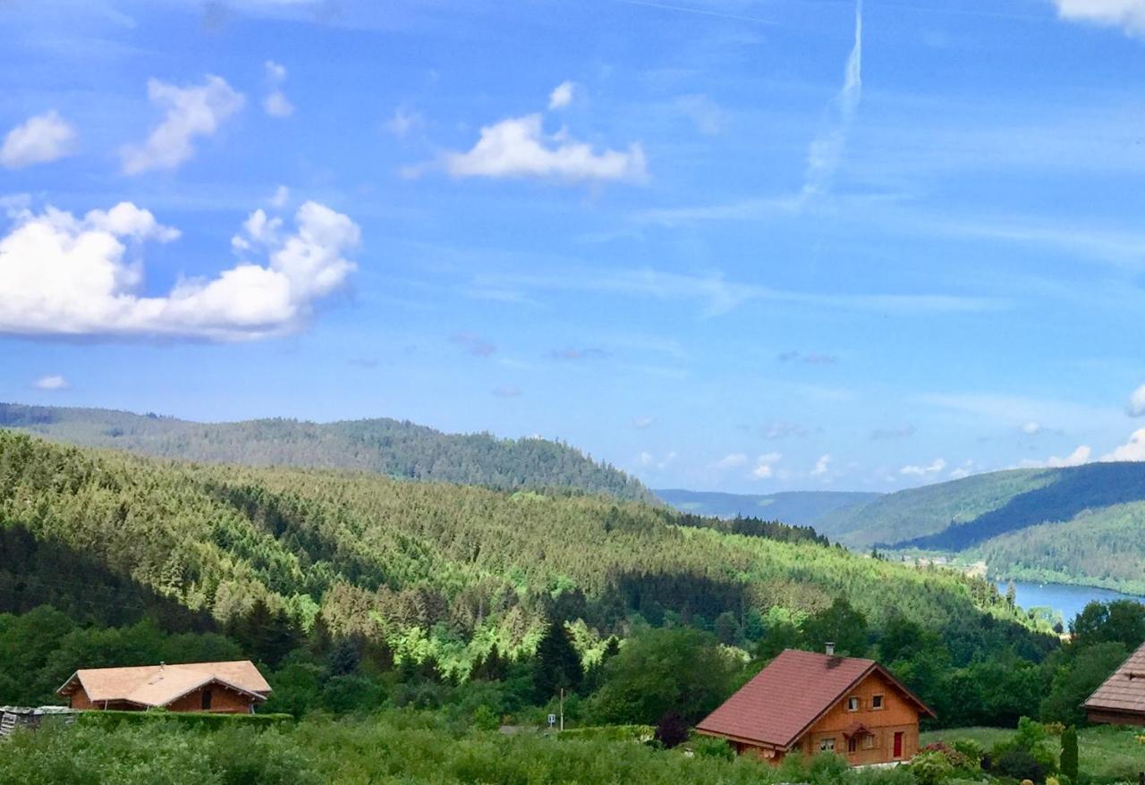 Chalet Le Flocon Bleu - Mauselaine Avec Vue Sur Le Lac De Gerardmer Exterior photo